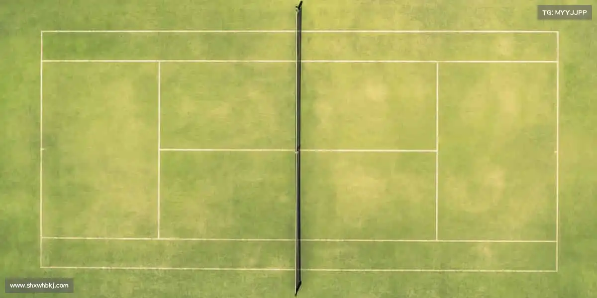 星空电竞🏓小球转动大梦想,汗水铸就新辉煌 —— 每一次挥拍都是热爱的回响!